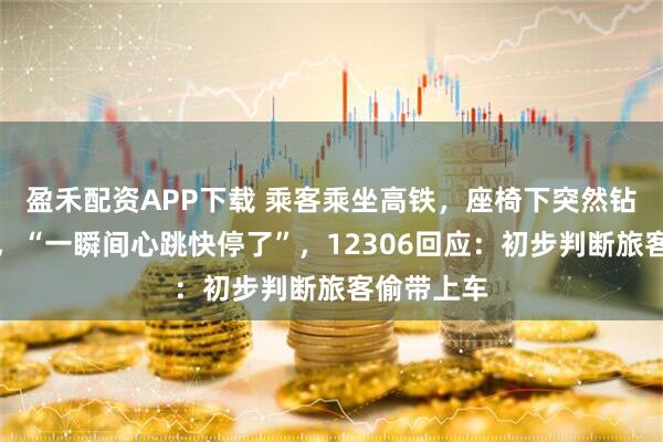 盈禾配资APP下载 乘客乘坐高铁，座椅下突然钻出活蜥蜴，“一瞬间心跳快停了”，12306回应：初步判断旅客偷带上车